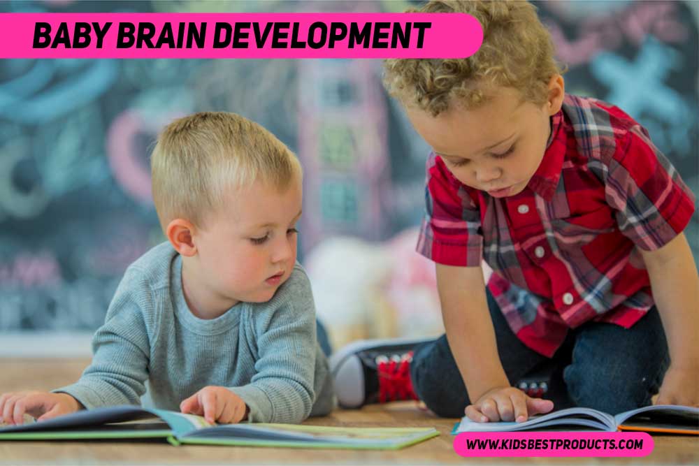 Baby Brain Development