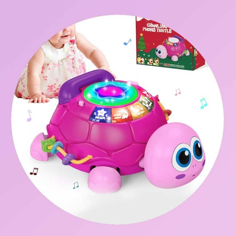 Baby Einstein Take Along Tunes Musical Toy