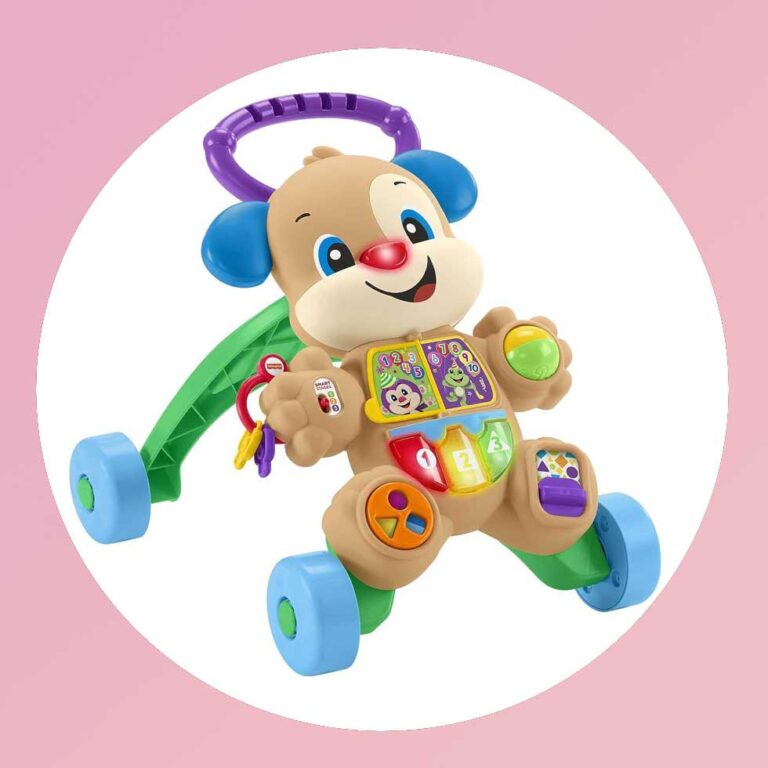 Fisher-Price Learn with Puppy Walker