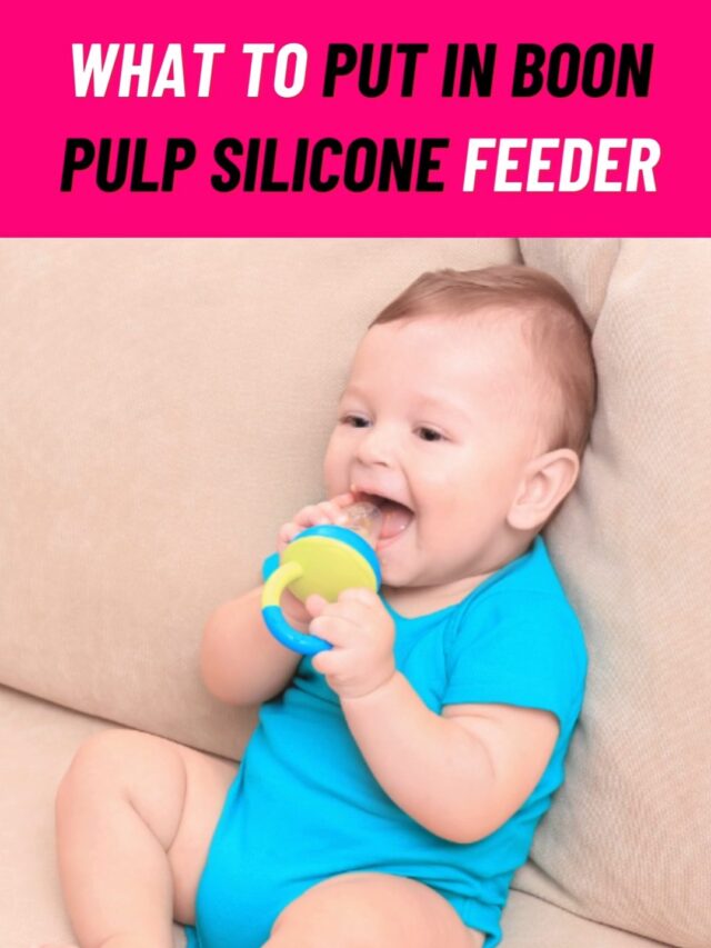 What to Put in Boon Pulp Silicone Feeder for Mess-Free Baby Feeding